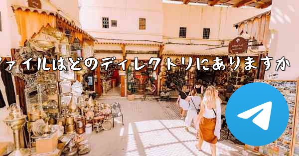 紙飛行機ファイルはどのディレクトリにありますか