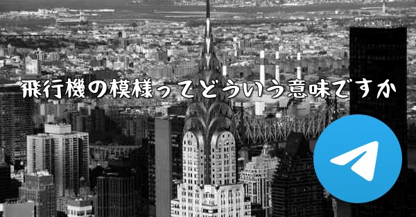 飛行機の模様ってどういう意味ですか