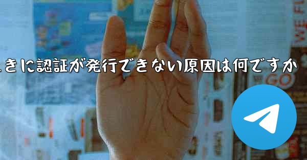 飛行機にログインするときに認証が発行できない原因は何ですか