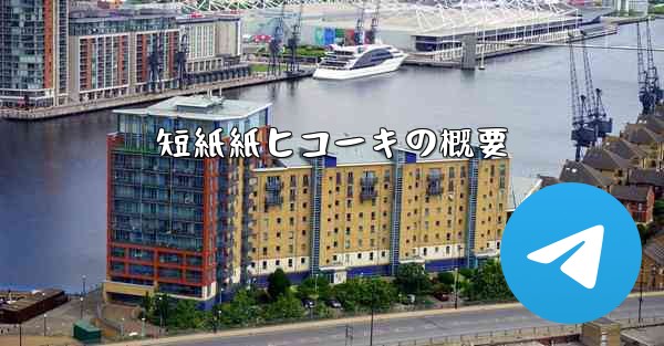 短紙紙ヒコーキの概要