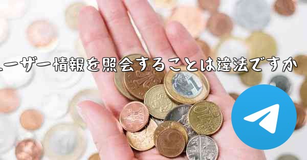 Paper Plane がユーザー情報を照会することは違法ですか