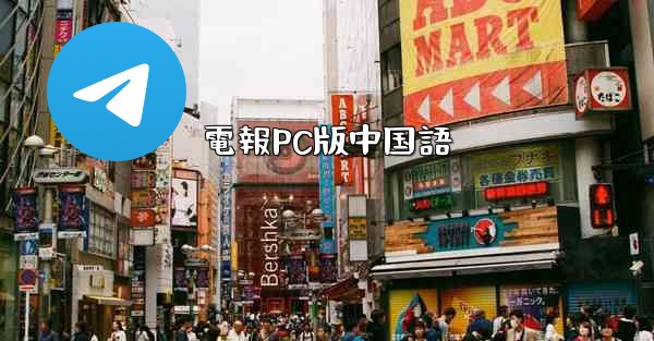 電報PC版中国語