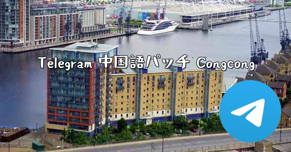Telegram 中国語パッチ Congcong