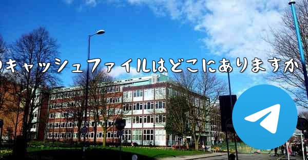 紙飛行機のキャッシュファイルはどこにありますか