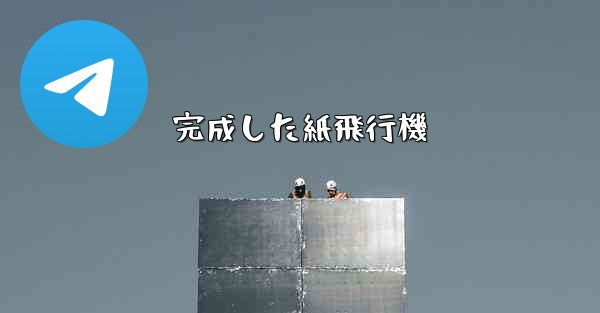 完成した紙飛行機