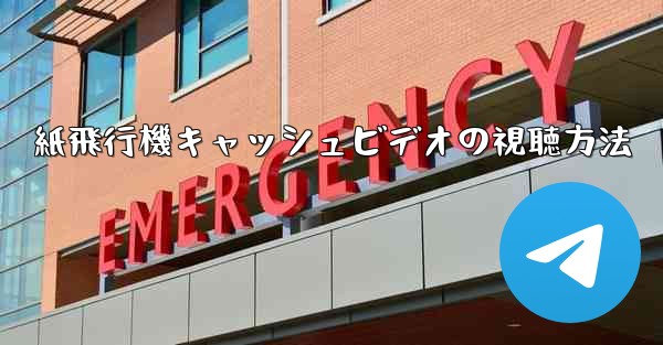 紙飛行機キャッシュビデオの視聴方法
