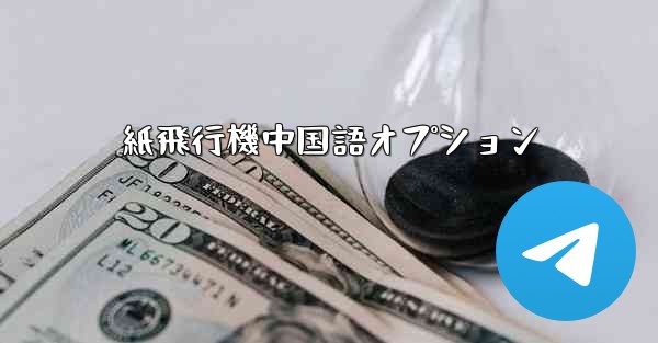 紙飛行機中国語オプション