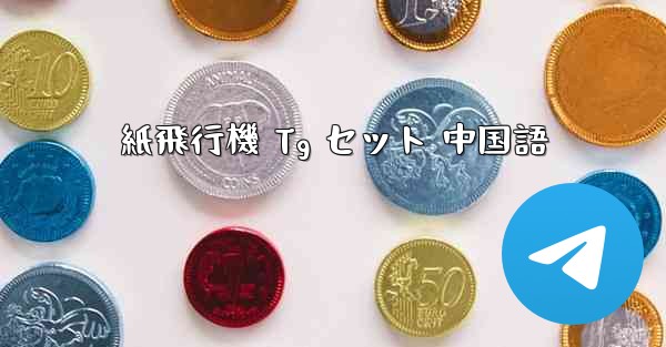 紙飛行機 Tg セット 中国語