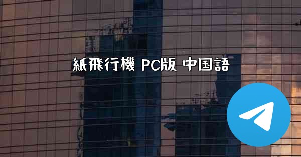 紙飛行機 PC版 中国語