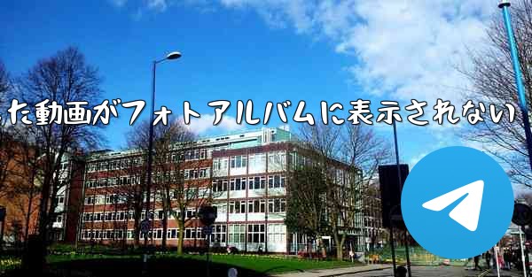 Paper Planeで保存した動画がフォトアルバムに表示されない