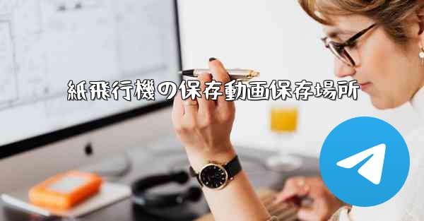 紙飛行機の保存動画保存場所