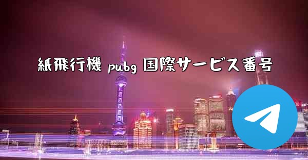 紙飛行機 pubg 国際サービス番号