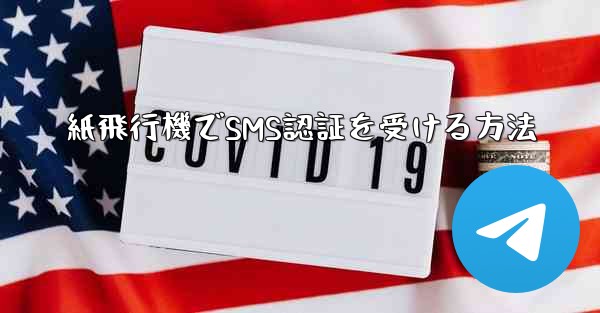紙飛行機でSMS認証を受ける方法