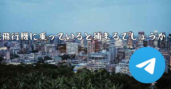 中国で紙飛行機に乗っていると捕まるでしょうか