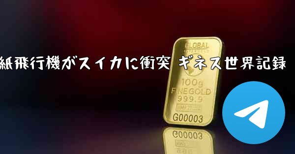 紙飛行機がスイカに衝突 ギネス世界記録