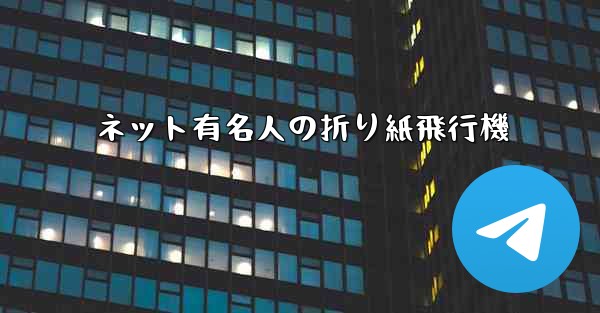ネット有名人の折り紙飛行機