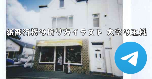 紙飛行機の折り方イラスト 大空の王様