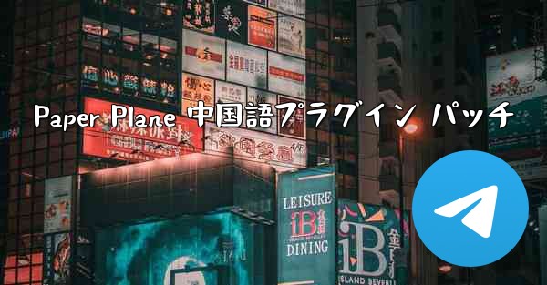 Paper Plane 中国語プラグイン パッチ