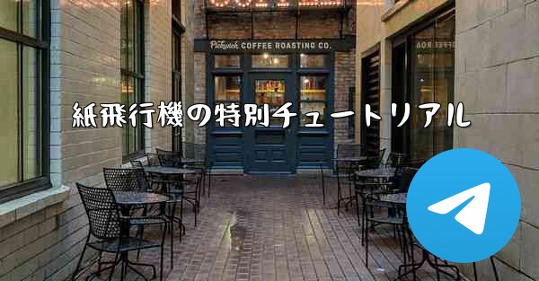 紙飛行機の特別チュートリアル