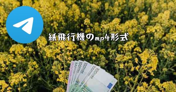 紙飛行機のmp4形式