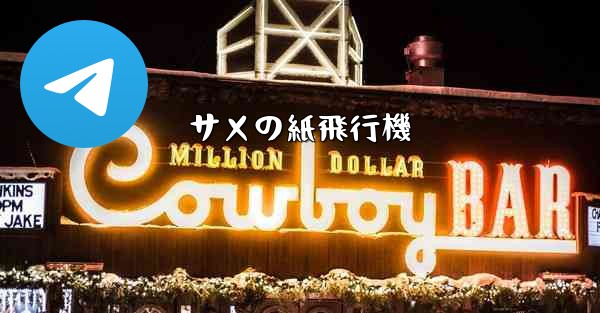 サメの紙飛行機