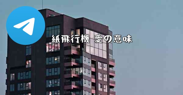 紙飛行機 愛の意味