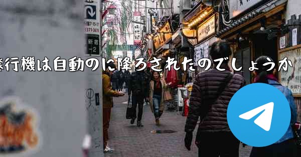 なぜ紙飛行機は自動のに降ろされたのでしょうか