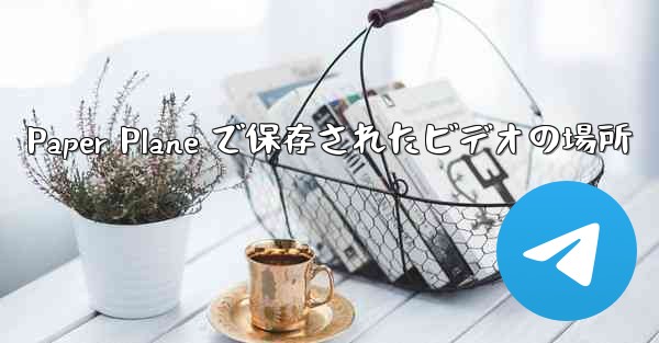 Paper Plane で保存されたビデオの場所