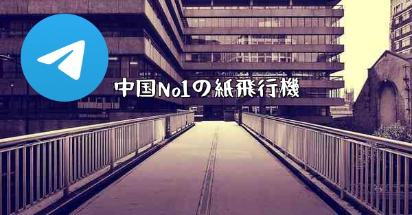 中国No1の紙飛行機