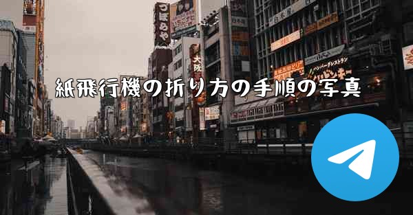 紙飛行機の折り方の手順の写真