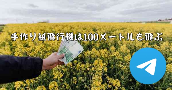 手作り紙飛行機は100メートルも飛ぶ