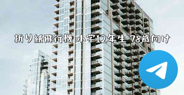折り紙飛行機 小学12年生 78歳向け