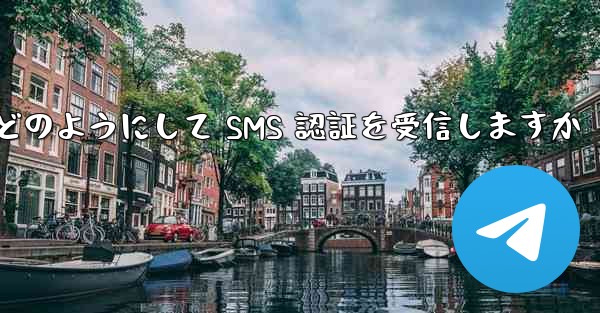 Paper Plane はどのようにして SMS 認証を受信しますか