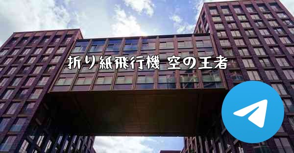 折り紙飛行機 空の王者