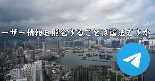 Paper Plane がユーザー情報を照会することは違法ですか