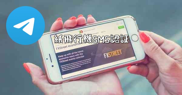 紙飛行機SMS認証