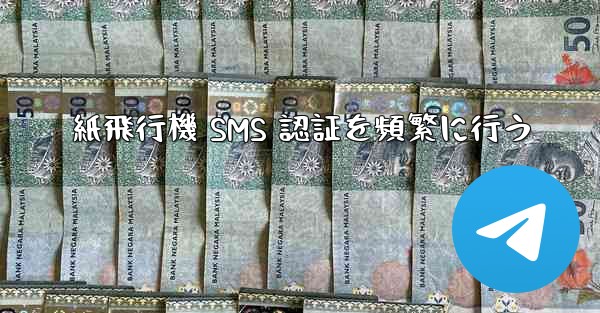 紙飛行機 SMS 認証を頻繁に行う