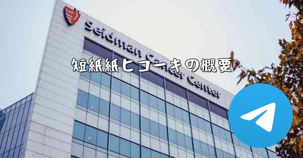 短紙紙ヒコーキの概要