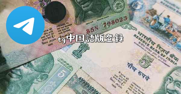 tg中国語版登録