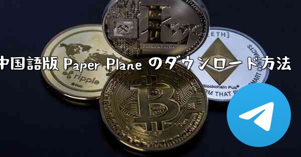 中国語版 Paper Plane のダウンロード方法