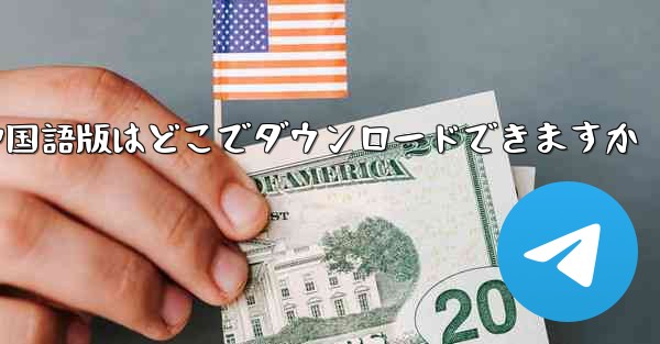 Simple Airplane の中国語版はどこでダウンロードできますか