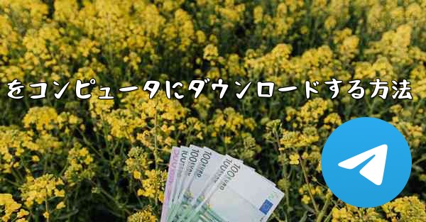 中国語版の Airplane をコンピュータにダウンロードする方法