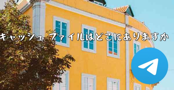 CCTV によってダウンロードされたキャッシュ ファイルはどこにありますか