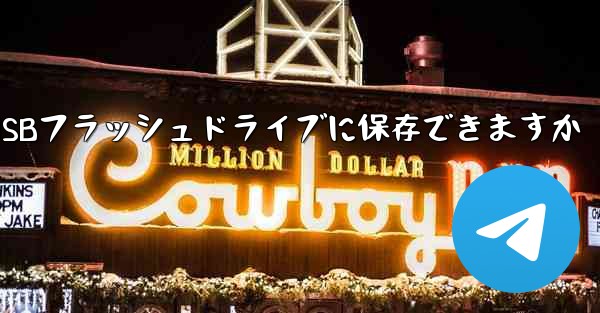 iPadからダウンロードしたビデオはUSBフラッシュドライブに保存できますか